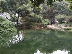 -成都市活水公园