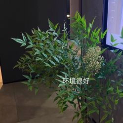 点击看大图 体验前-宸山医美·变美艺术馆