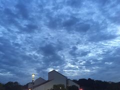 -珍宝海鲜(东海岸海鲜中心)