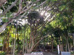 -布里斯班南岸公园