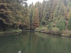-山王坪喀斯特国家生态公园