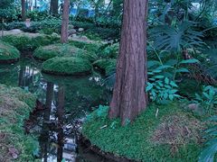 -成都市活水公园