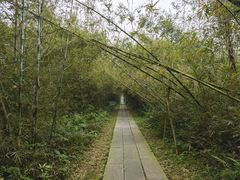 -开平碉楼文化旅游区马降龙景区