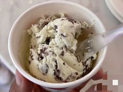 薄荷巧克力-丽都DELICATESSEN熟食店