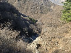 -阳台山自然风景区