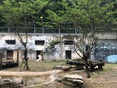 -黔灵山公园
