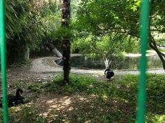 -镇江市南山风景名胜区竹林景区