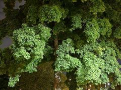 -维乐口腔医院(福清院)