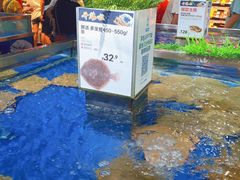 -盒马鲜生(首义店)