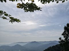 -北京鹫峰国家森林公园