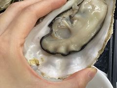 阳江炊蚝-大富蚝乌东哥饭店·石锅鱼杂·柠檬鸭(革新路店)