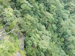 -白云源风景区