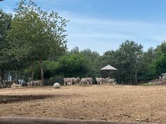 -大连森林动物园