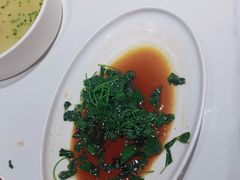 -老绍兴养和饭店(向阳不夜城店)