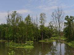 -桤木河湿地公园