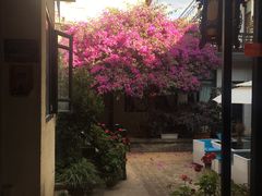 -浔岚云舍mist静谧观景美宿(丽江古城店)