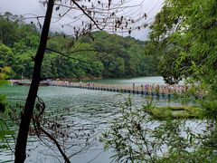 -广州市流溪河国家森林公园