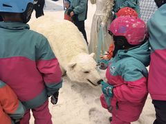-长沙湘江冰雪世界