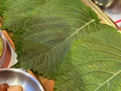 -杨记齐齐哈尔烤肉(总店)