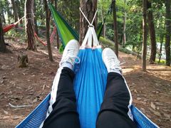 -铁山坪森林公园