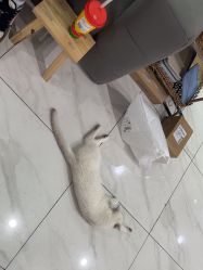 点击看大图 -镁连社·美联社