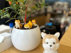 -Onirii Coffee(长乐路店)