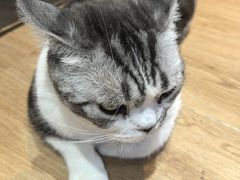 -小时光咖啡馆(开森度假森林店)