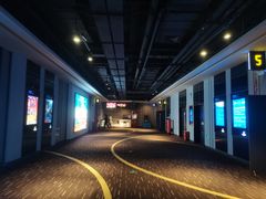 -万达影城(金山万达广场IMAX店)