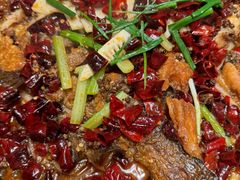 -老板恋上鱼(恒隆广场店)