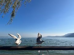 -滇池海埂公园