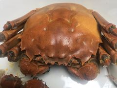 -小陆莲花蟹园农家乐(莲花岛店)