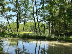 -桤木河湿地公园