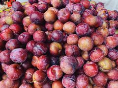 -红星农博物流中心