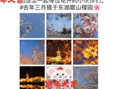 -东湖磨山景区