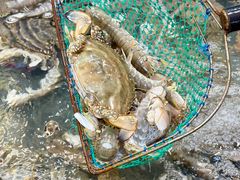 -晓琦农家菜馆·地道农家菜