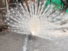 -静之湖度假区