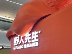 -野人先生现做冰淇淋(北京王府井东方新天地店)