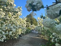 -石家庄市植物园