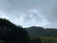 -南沙蒲洲花园