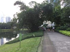-晓港公园