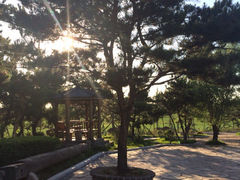 iphone_upload_pic-爱新觉罗皇家博物院