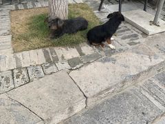 -茯茶镇
