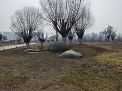 -汉长安城未央宫国家考古遗址公园