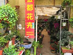 -金陵花卉交易市场