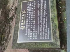 -峨眉山报国寺
