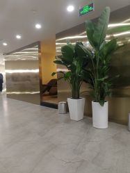 -DX HAIR SALON·发现未知美发沙龙