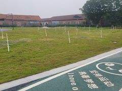 -王借岗森林公园