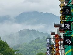 -南岳衡山风景名胜区-南岳大庙