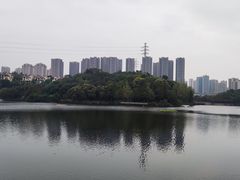 -重庆彩云湖湿地公园