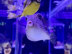 -太平洋海底世界